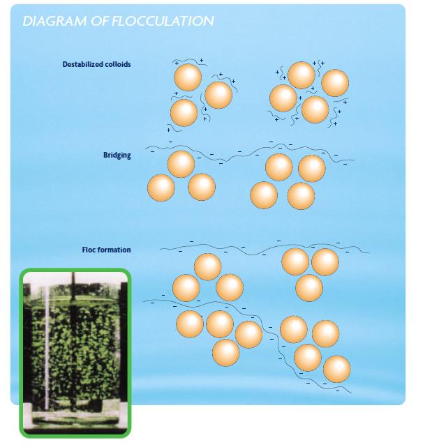 CoagulationFlocculation SSWM